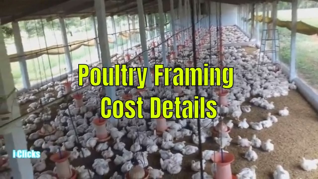software for poultry farm